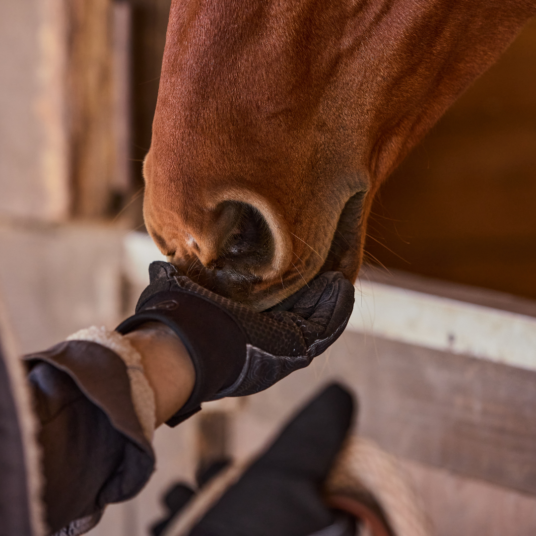 Waterproof Winter Gloves - High-performance protection
